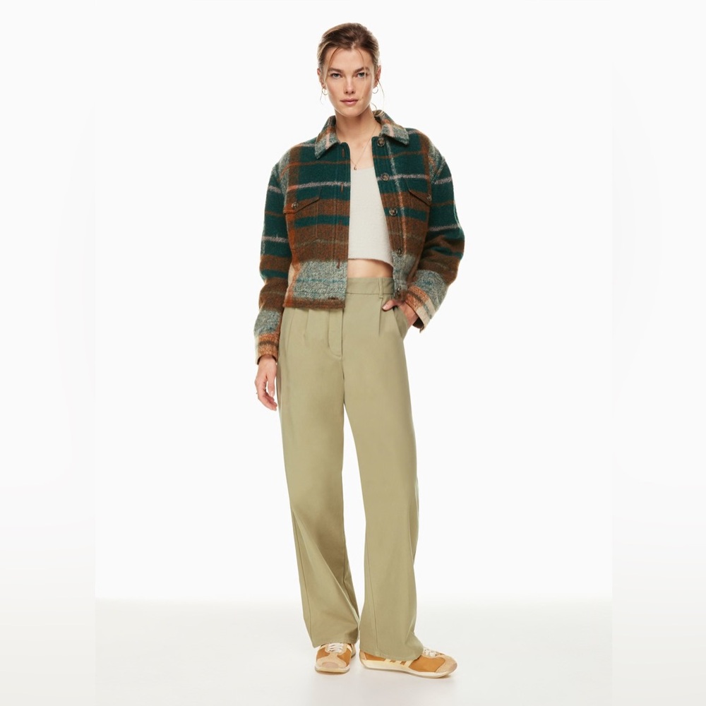 Aritzia Dion Pants